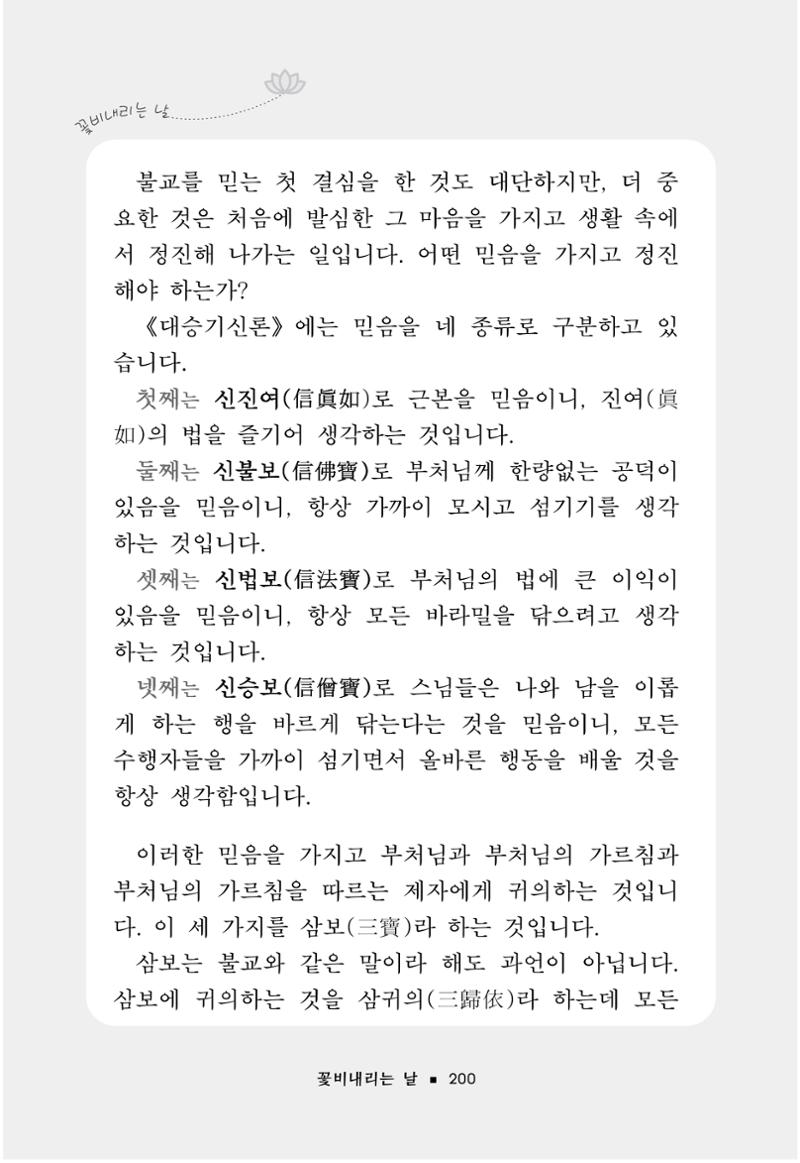 꽃비내리는날 204페이지