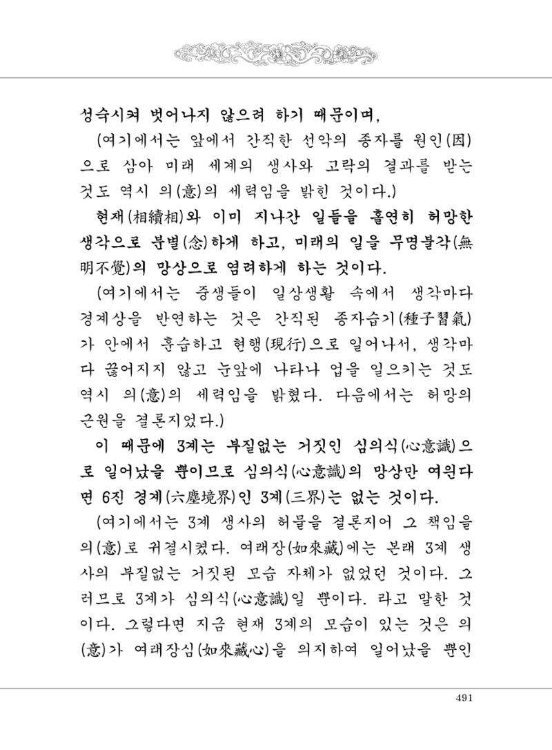 대승기신론 1권 539페이지