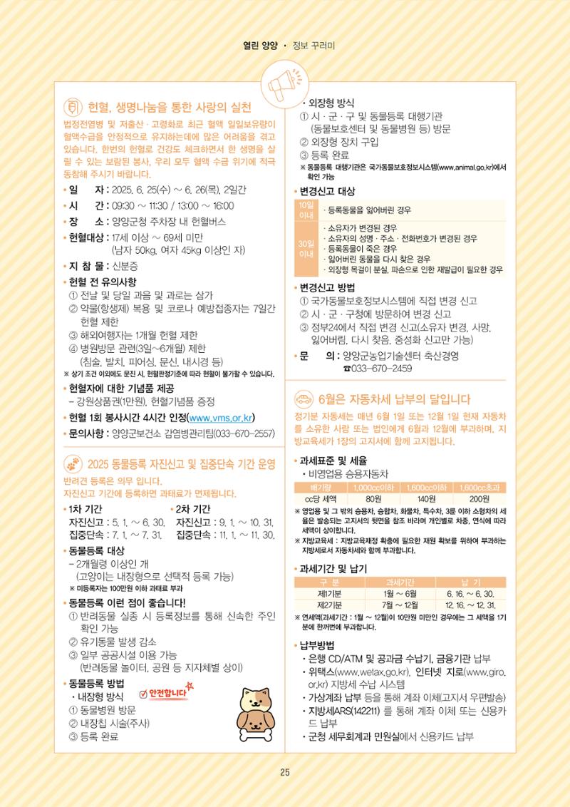 양양소식지 2025. 6월호 25페이지