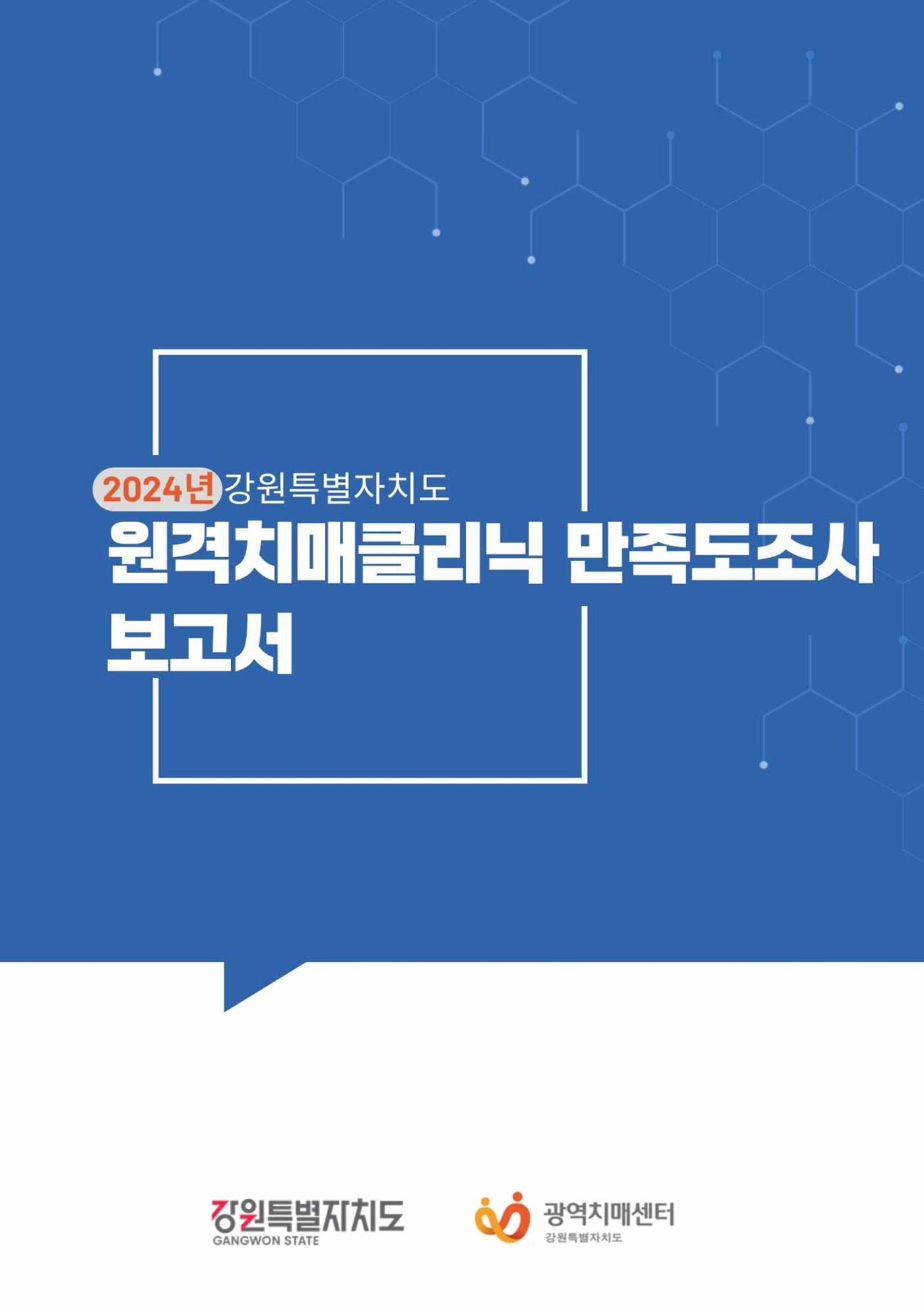 2024년 강원특별자치도 원격치매클리닉 만족도조사 보고서 1페이지