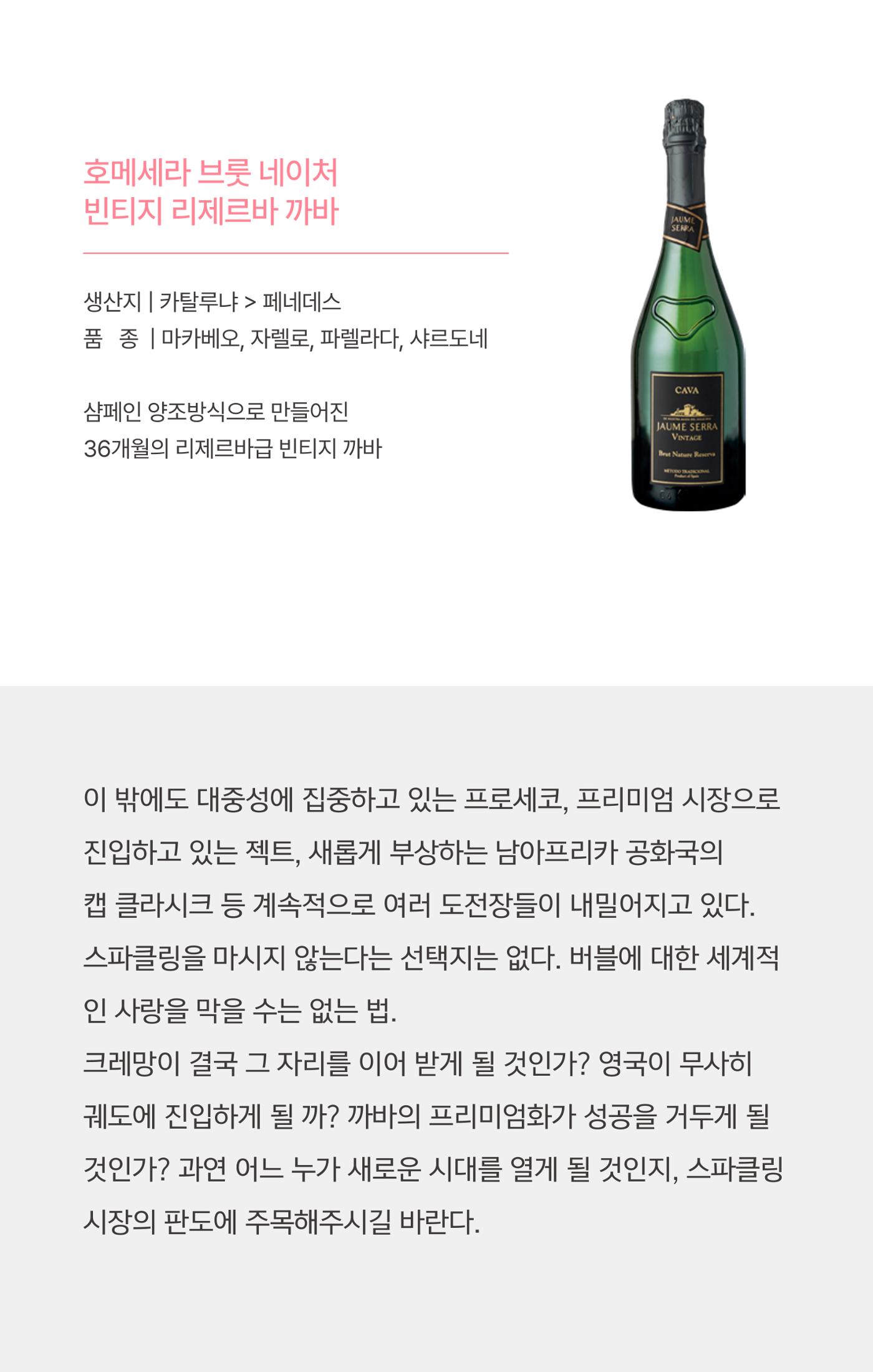 2025년 7월 와인타임즈 😎 14p