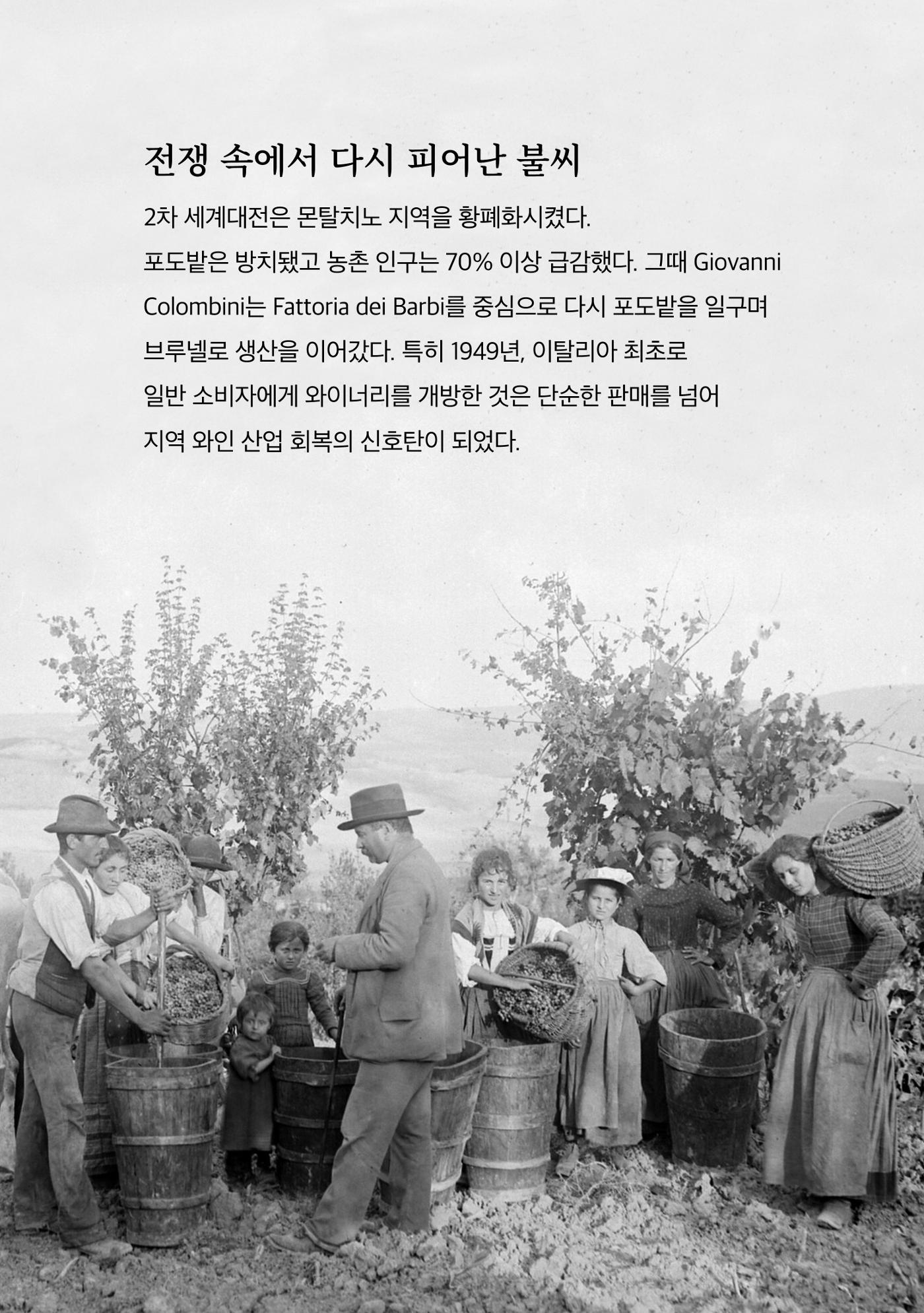 2025년 8월 와인타임즈🇬🇧 10p