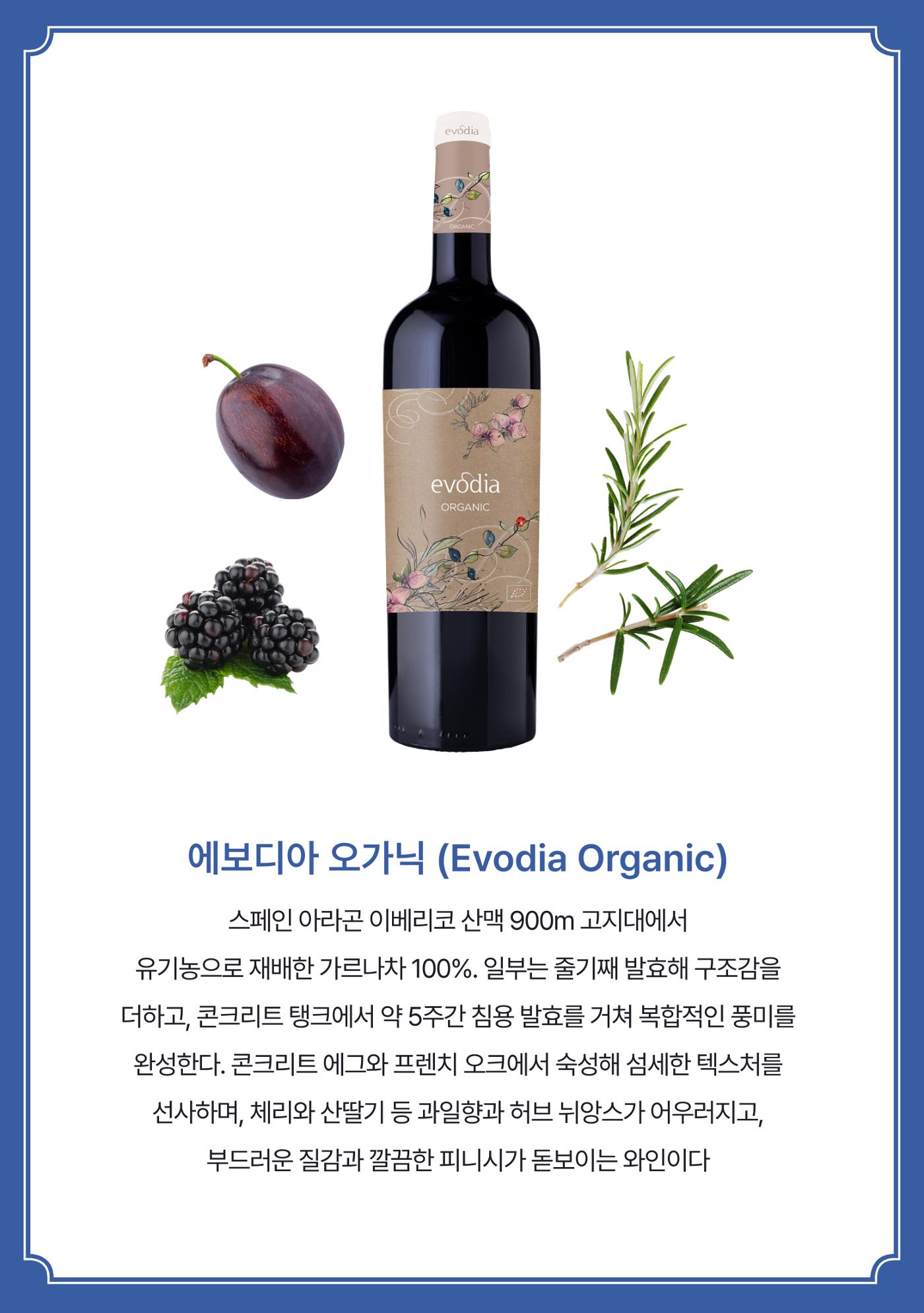 2025년 9월 와인타임즈🌝 12p