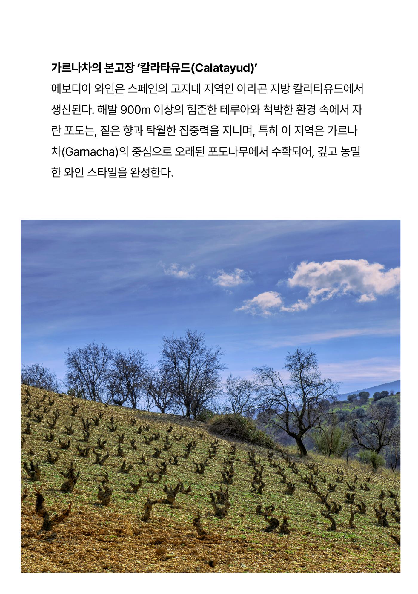 2025년 9월 와인타임즈🌝 9p