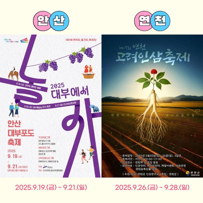 GG문화유산돌봄 42호 11페이지