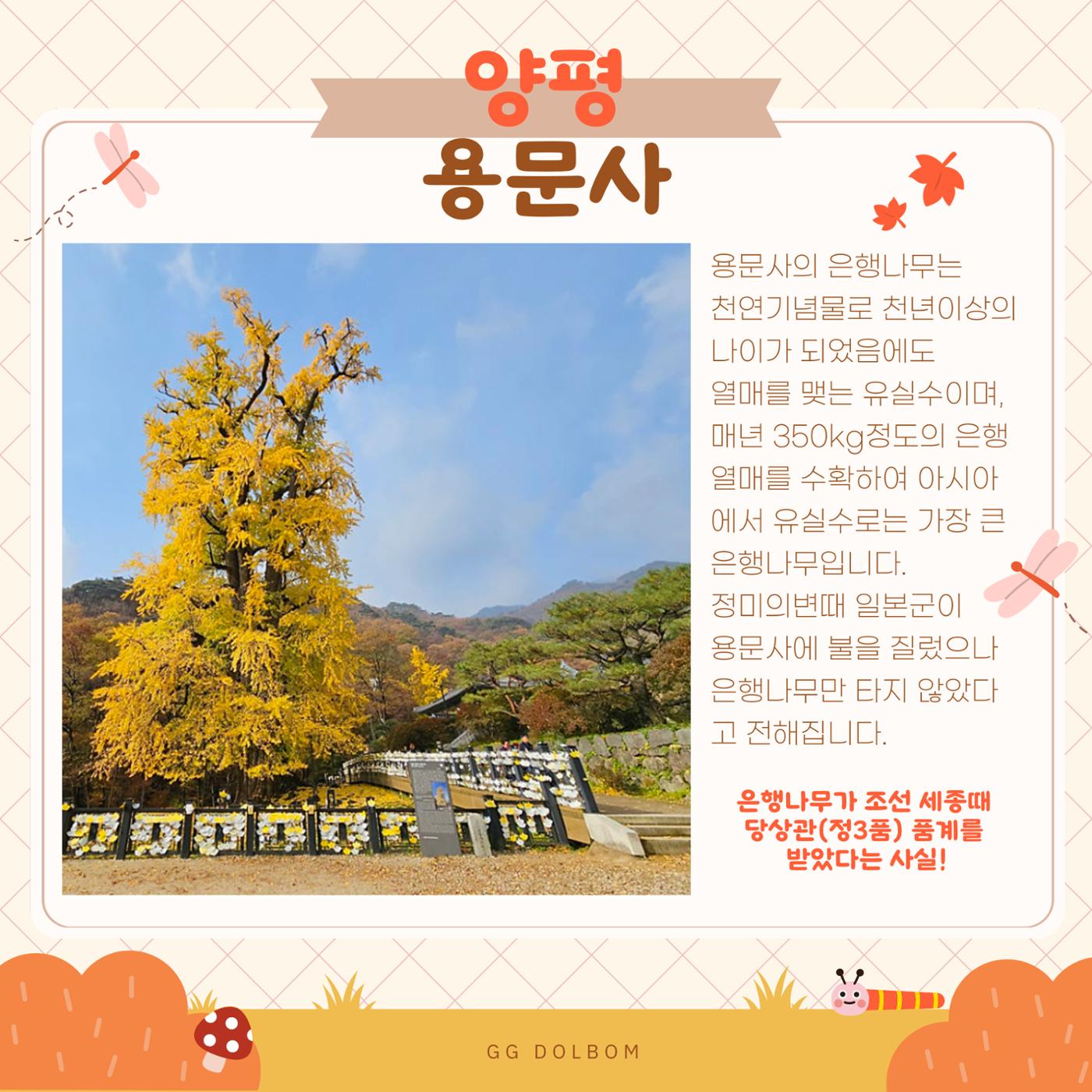 GG문화유산돌봄 42호 5페이지