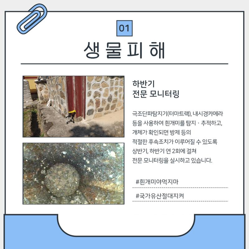 GG문화유산돌봄 43호 13페이지