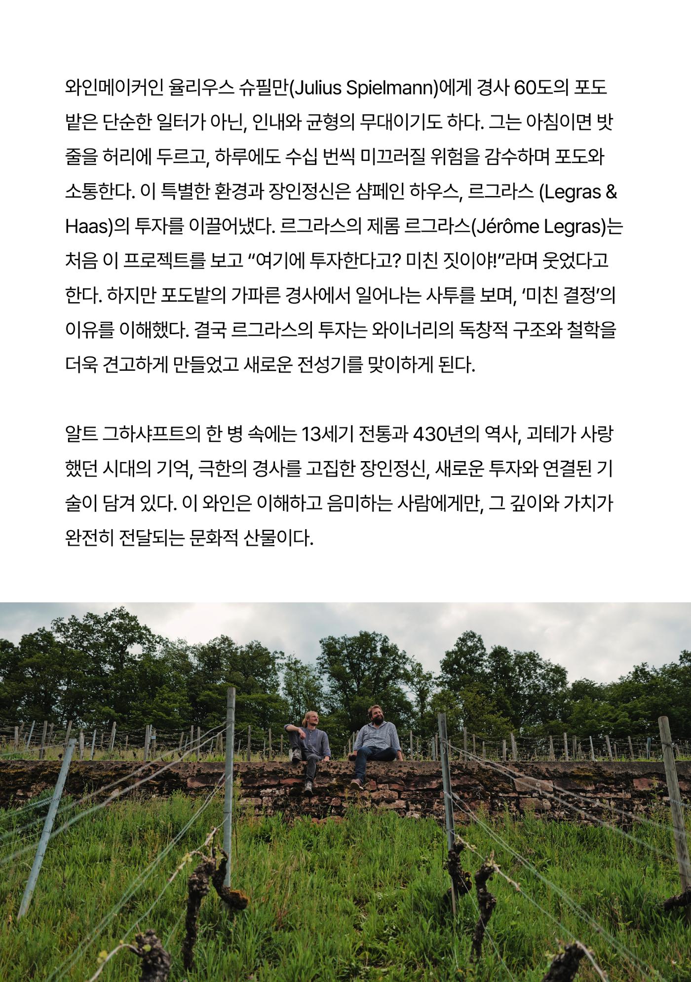 2025년 11월 와인타임즈😎 22p