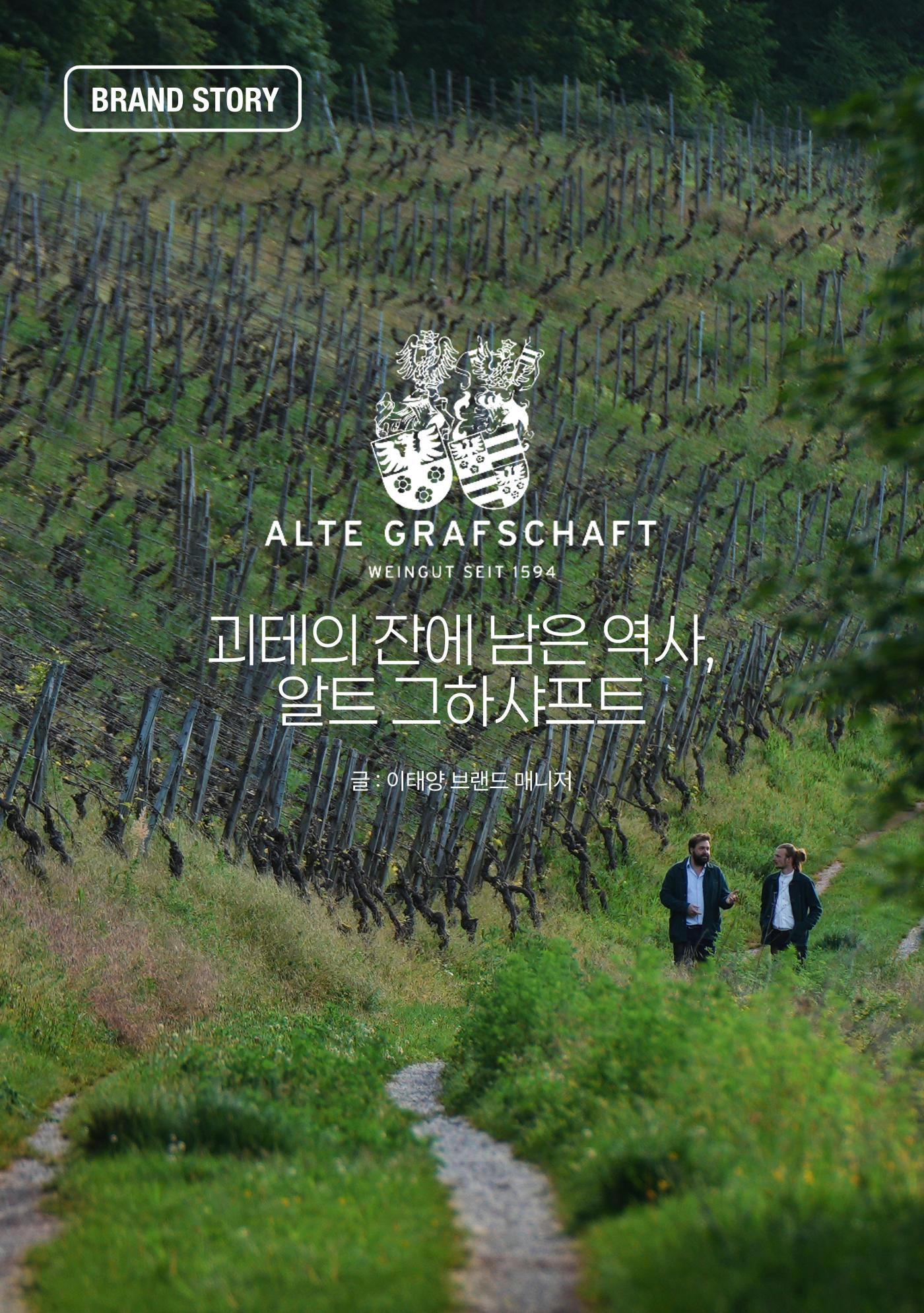 2025년 11월 와인타임즈😎 19p