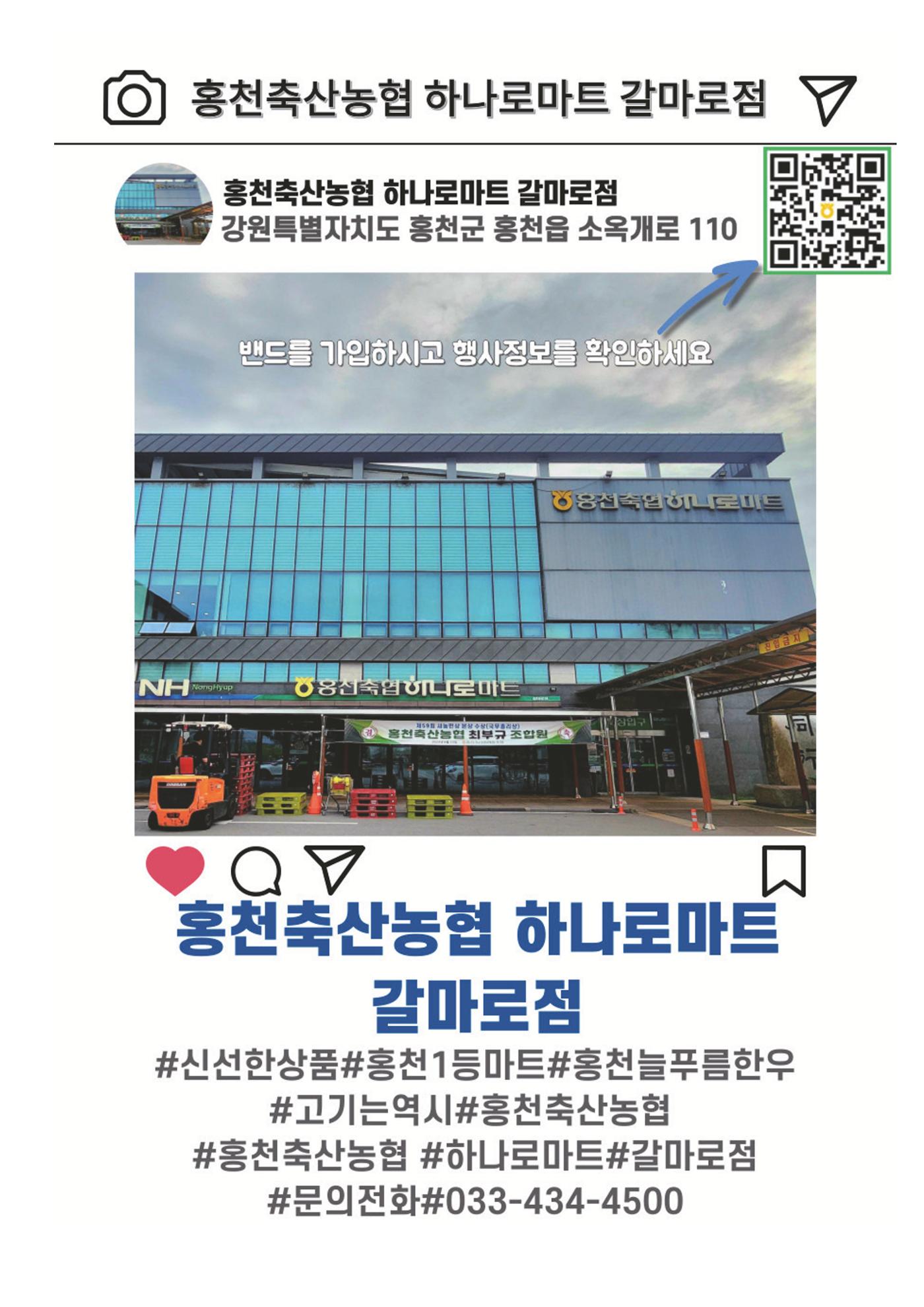홍천 19페이지