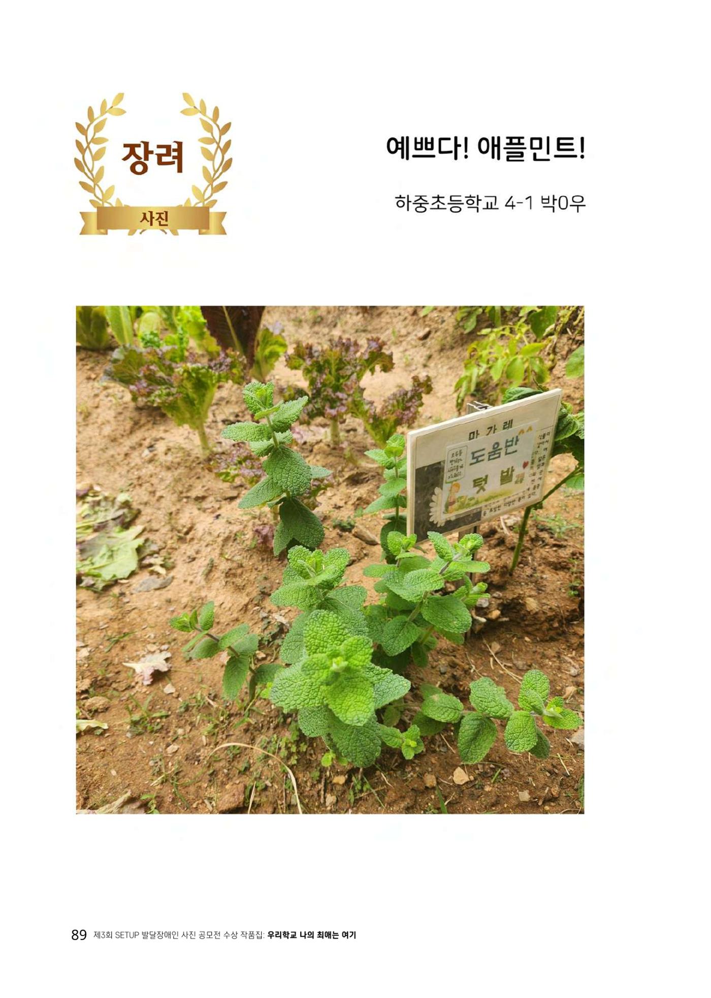 우리 학교 나의 최애는 여기 89페이지