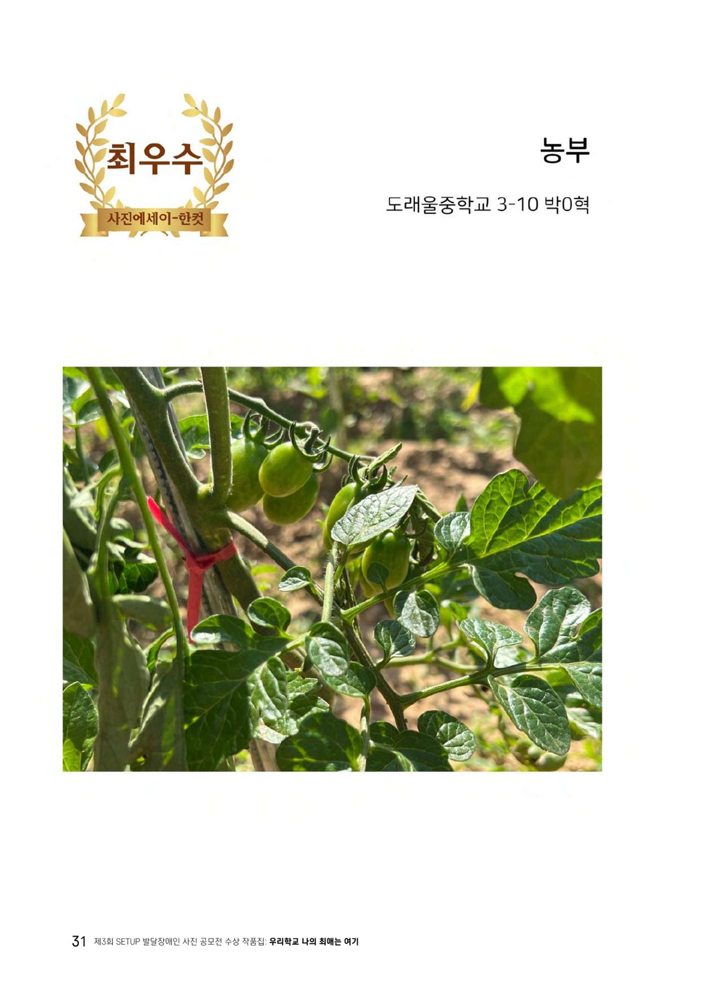 우리 학교 나의 최애는 여기 31페이지