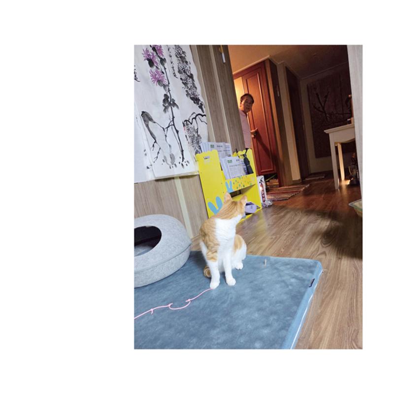 울타리가 되어준 당신에게 81페이지