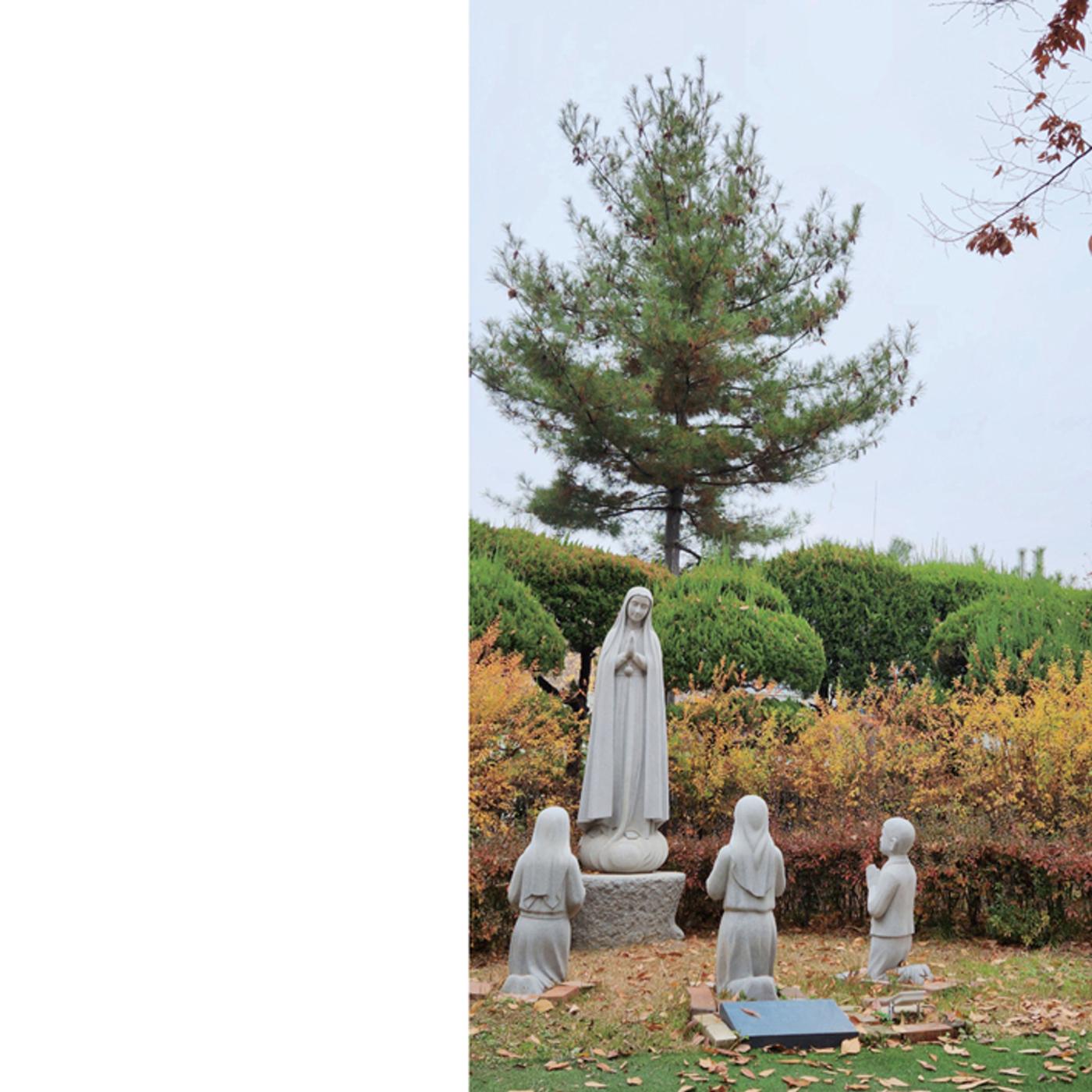 울타리가 되어준 당신에게 37페이지