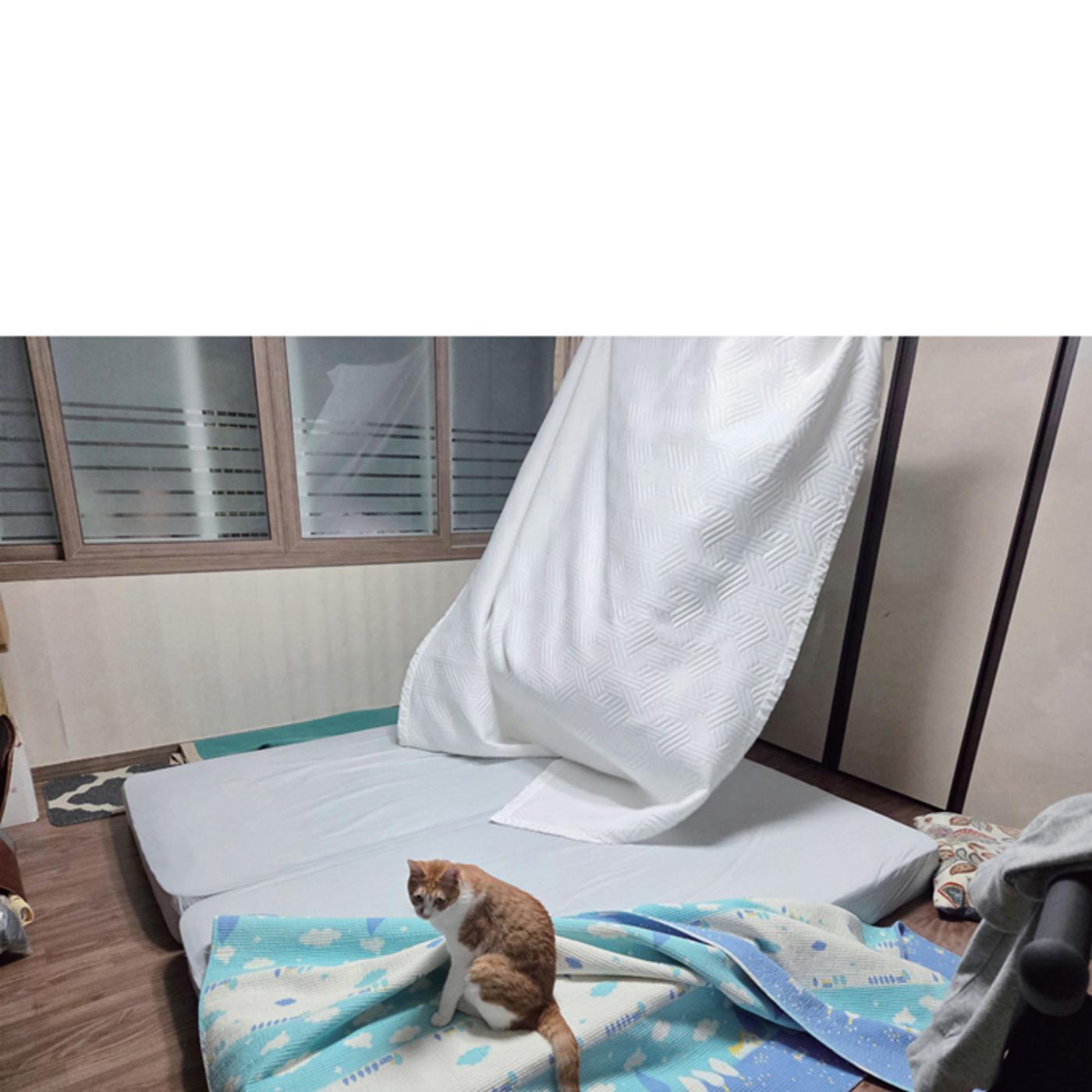 울타리가 되어준 당신에게 93페이지