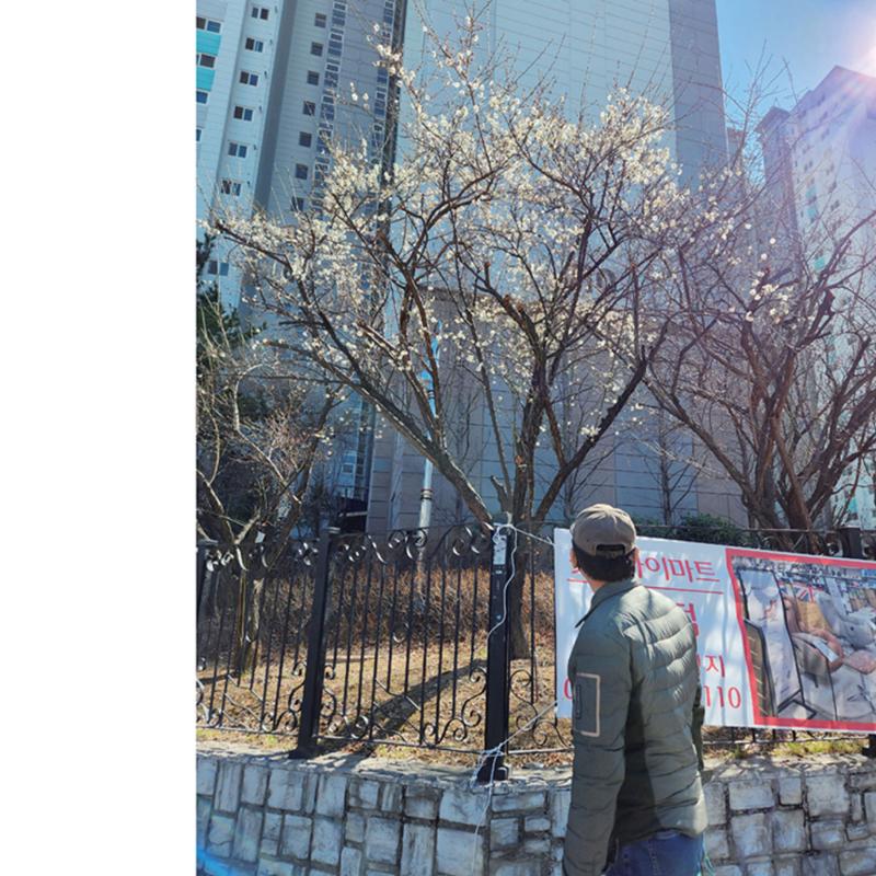 울타리가 되어준 당신에게 43페이지