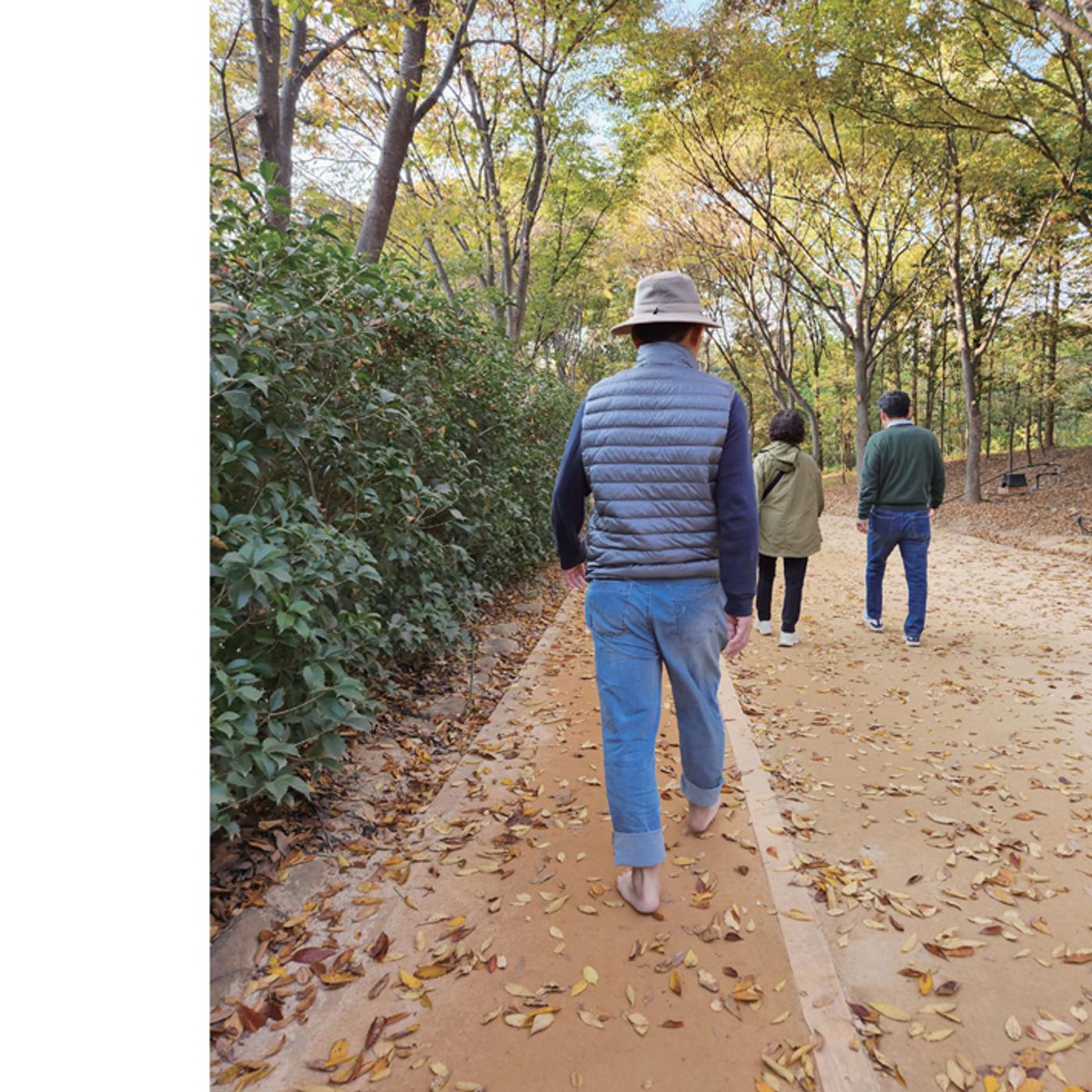 울타리가 되어준 당신에게 29페이지