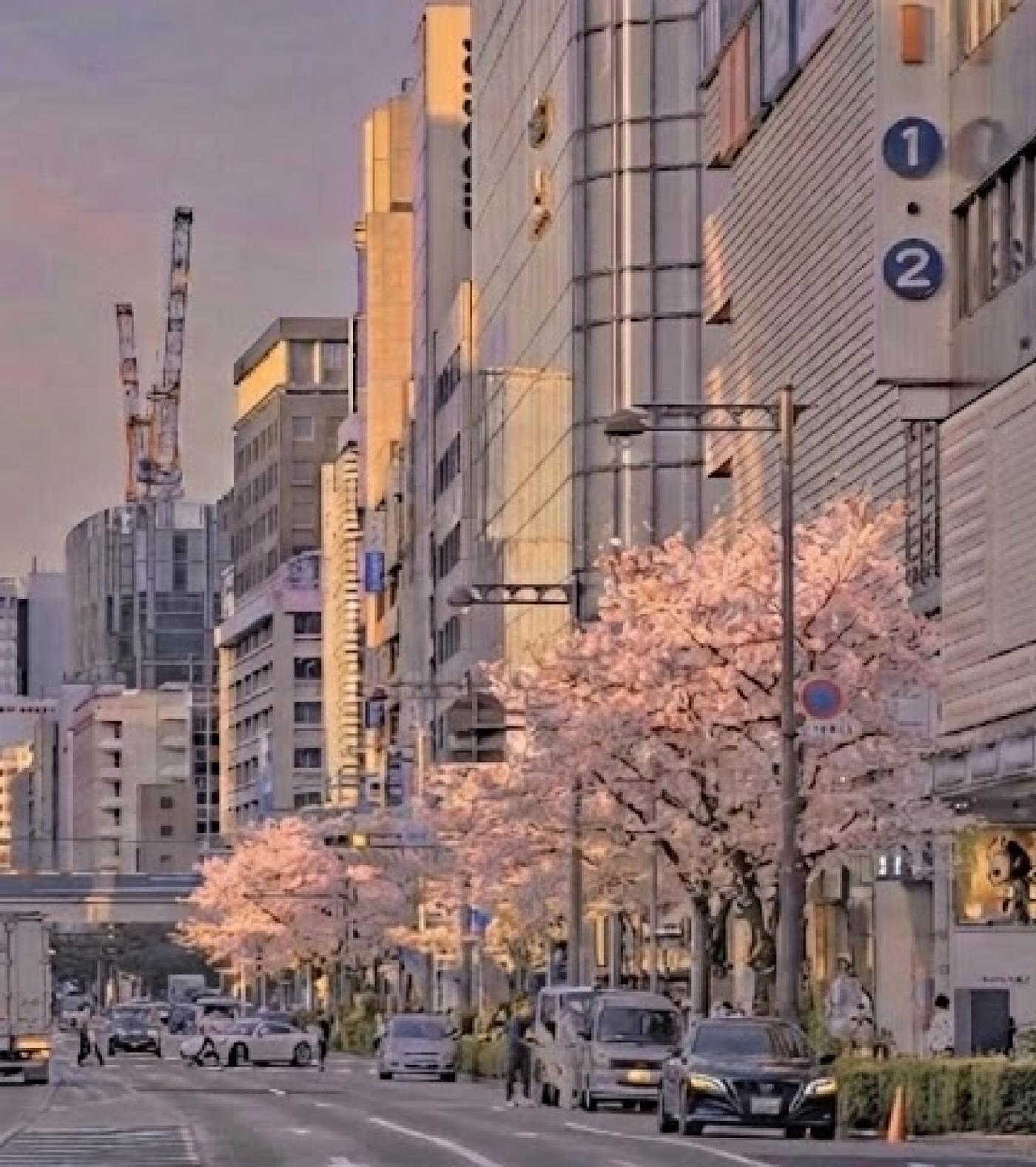  창업 브로 3페이지