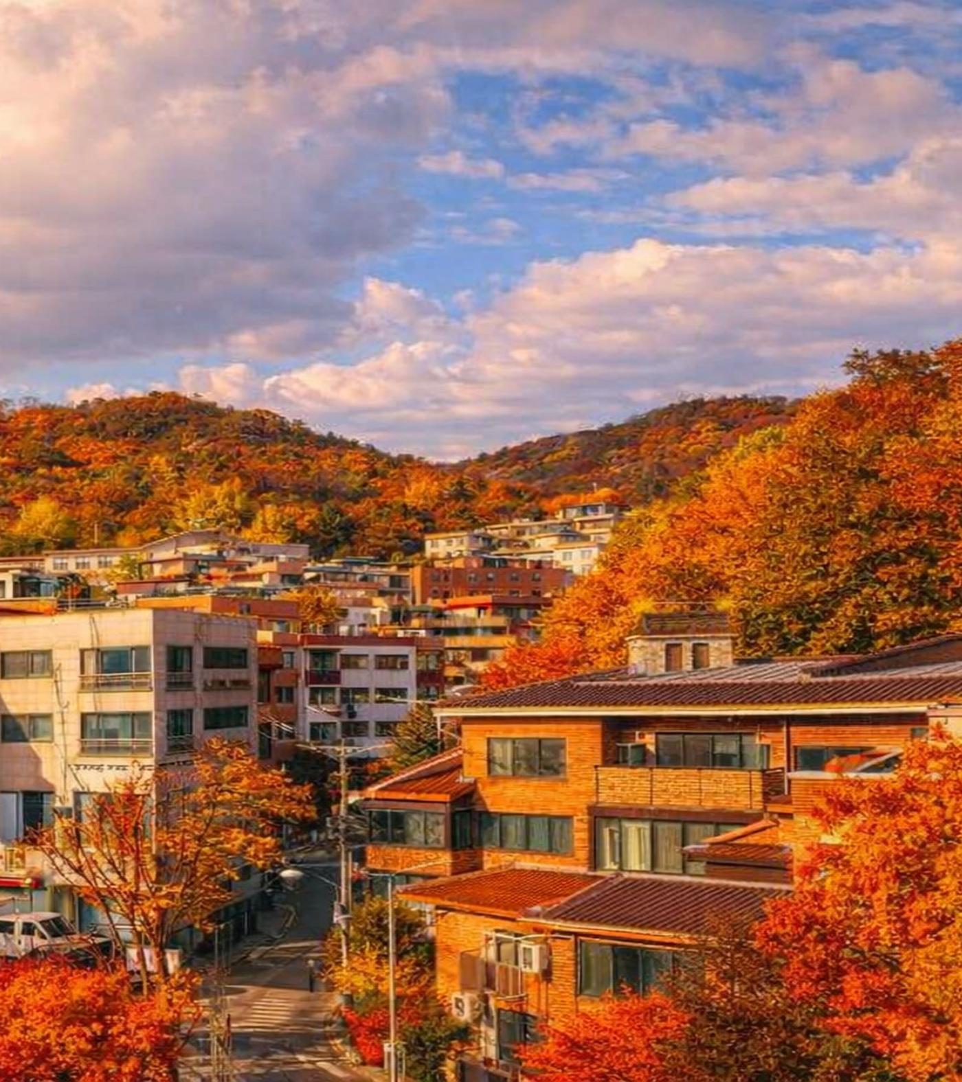  창업 브로 11페이지