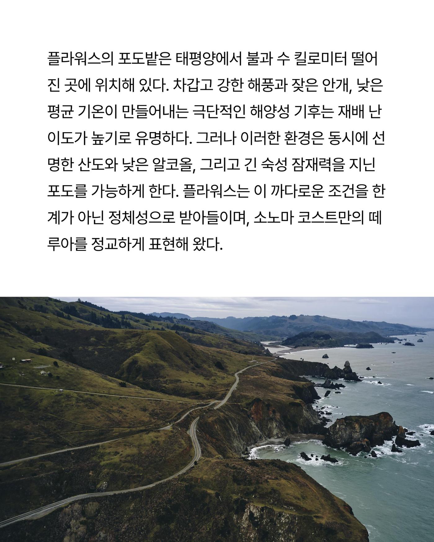 2026. 3월 동원와인타임즈 5p
