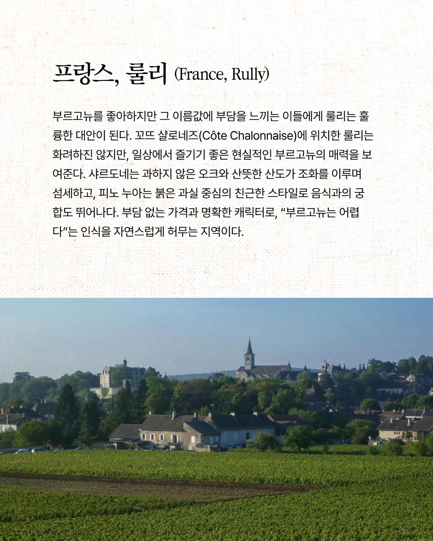2026. 3월 동원와인타임즈 19p