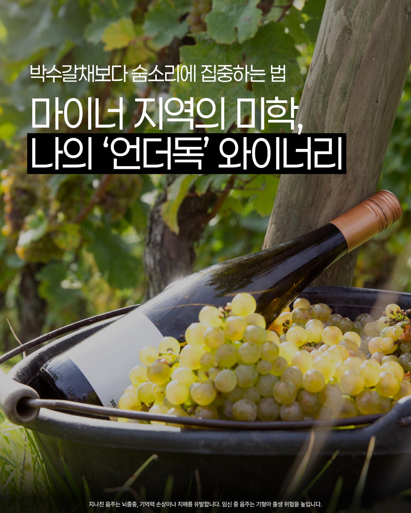 2026. 3월 동원와인타임즈 13p