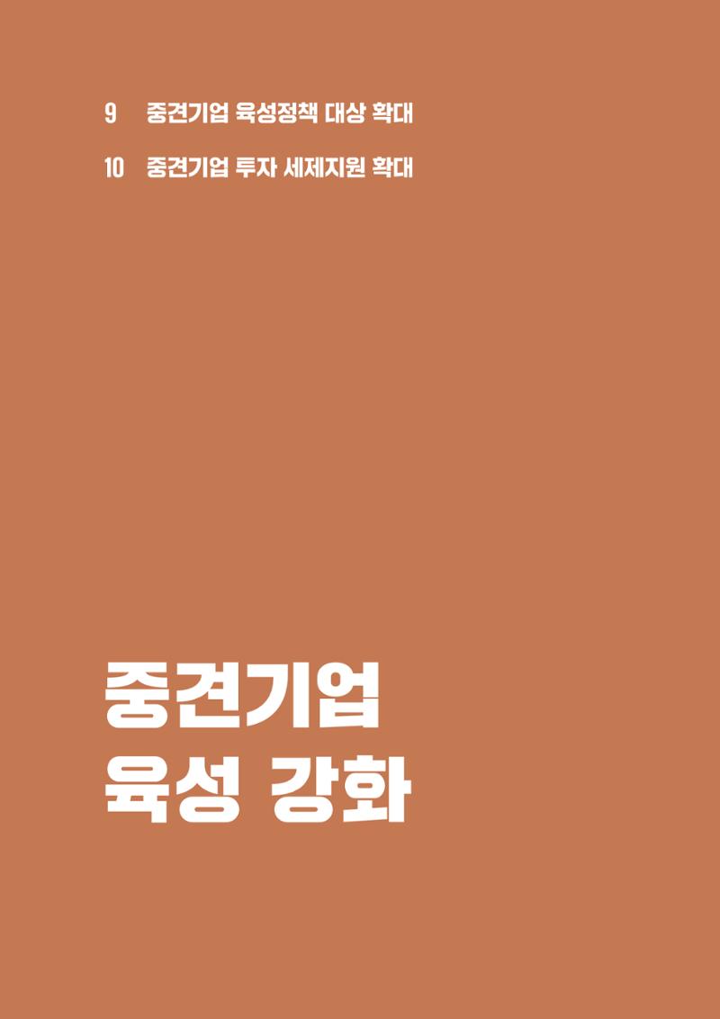 중견기업계 10대 중점과제 29페이지