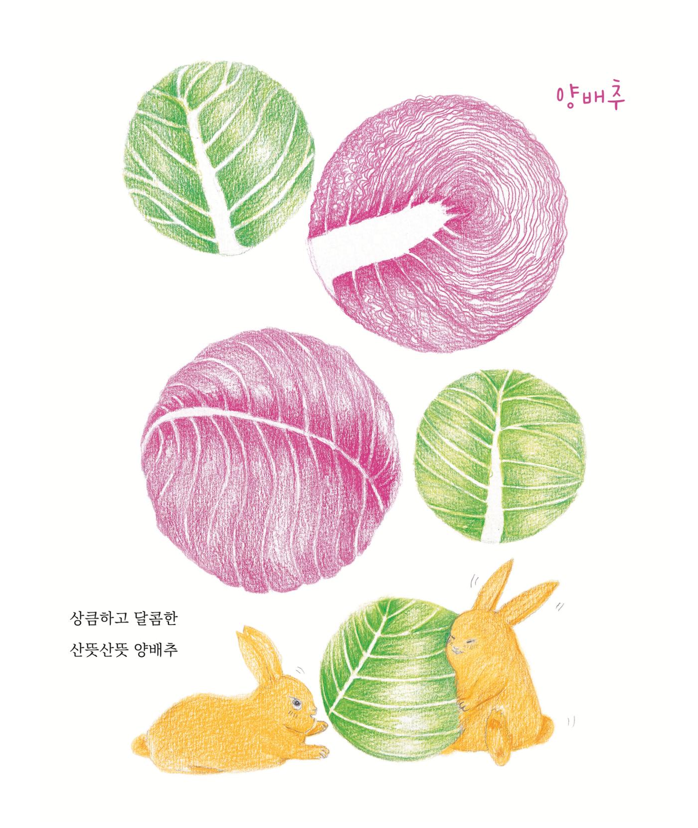 춘천막국수 9페이지
