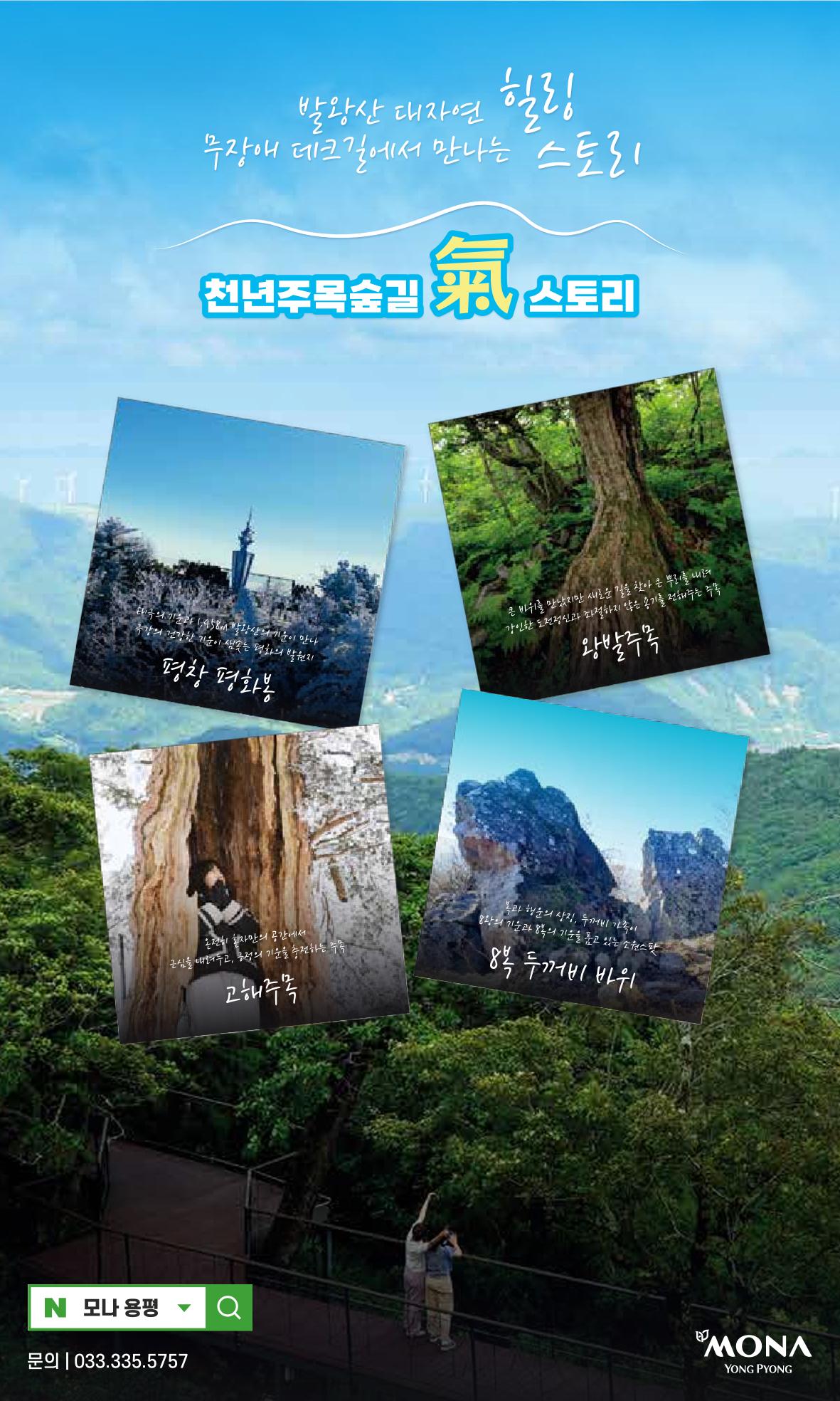 꿈씨오쟁이 63호 [2024 연차보고서] 35페이지