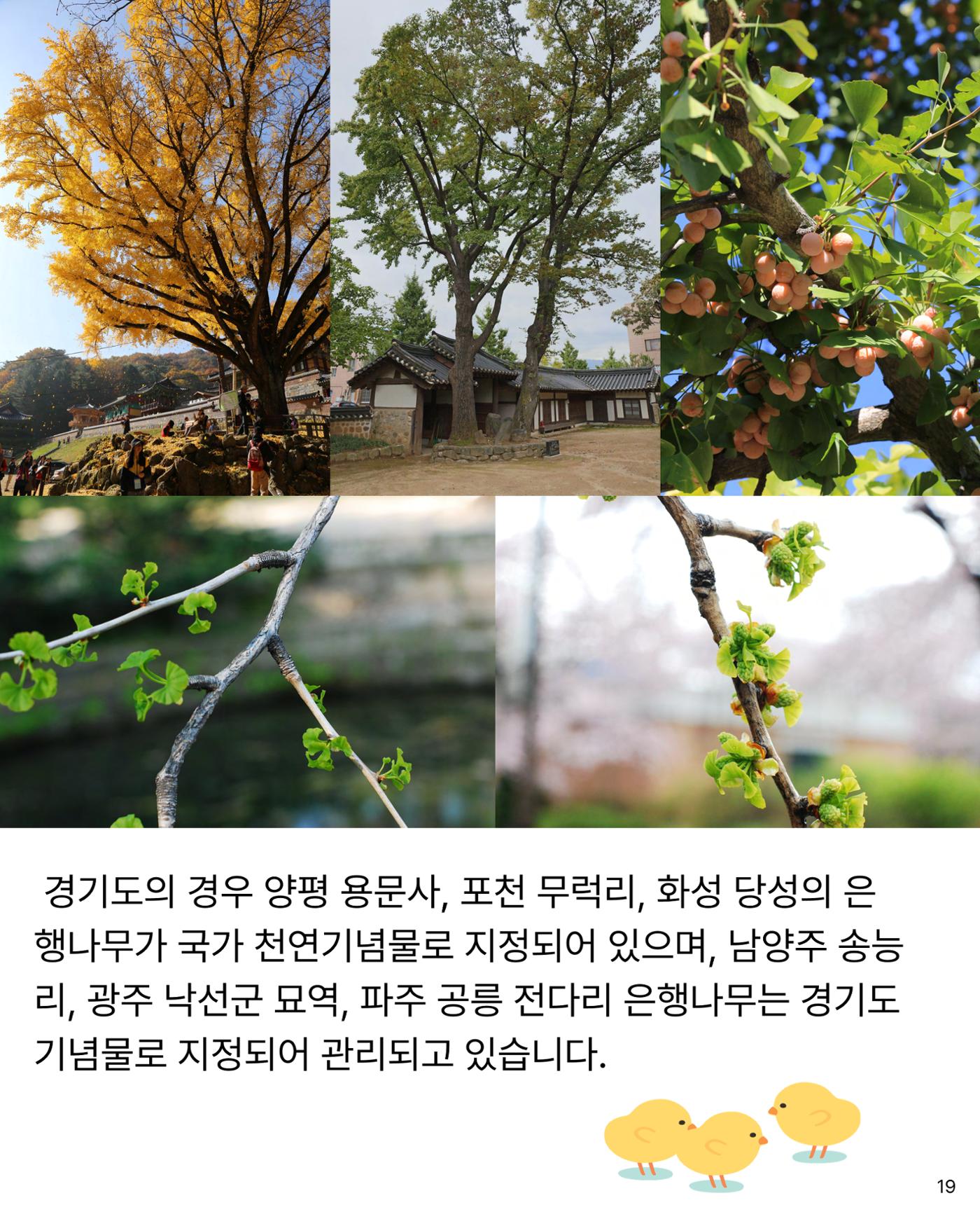 경기유산 2026 봄호 20페이지