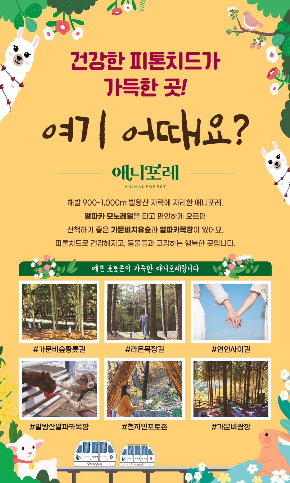 꿈씨오쟁이 64호 [2025 연차보고서] 35페이지