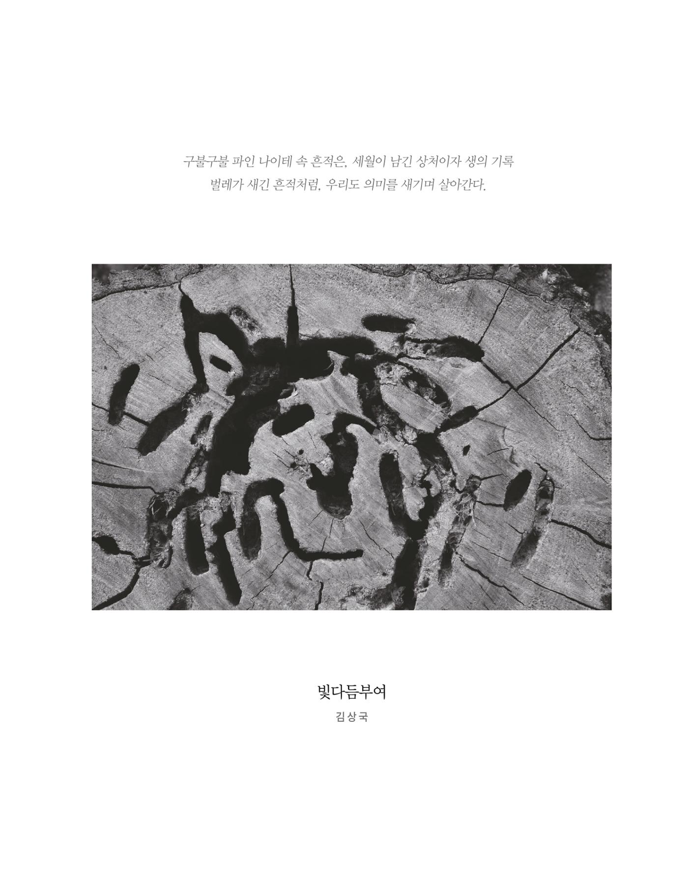 충남대학교 의과대학 동창회보 3페이지