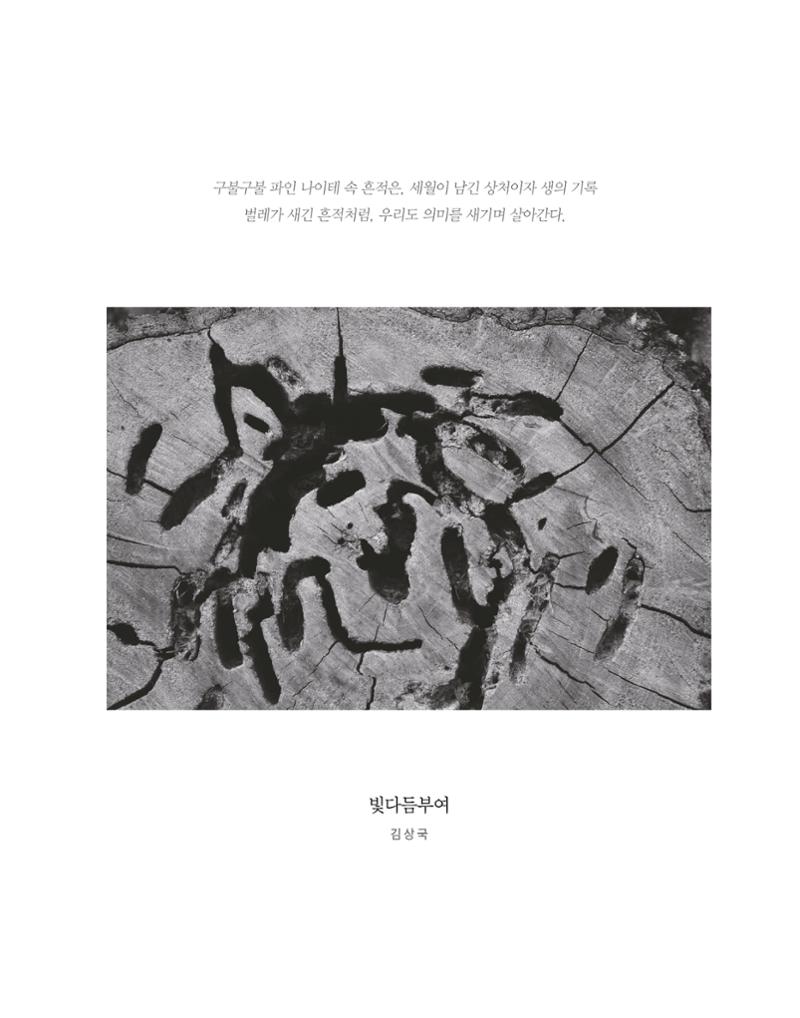 충남대학교 의과대학 동창회보 3페이지