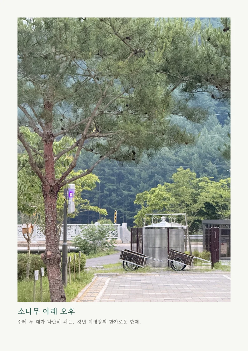 북한강, 가평 — 자라섬·청평·남이섬 나들이 8페이지