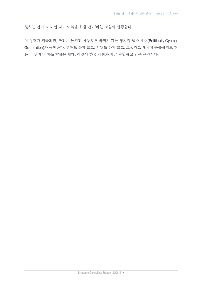새시대 정치 패러다임 전환 전략 보고서 12페이지