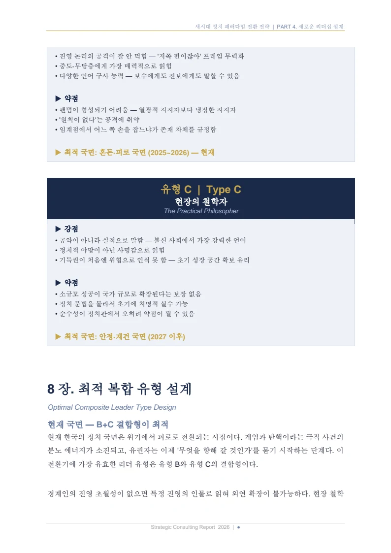 새시대 정치 패러다임 전환 전략 보고서 17페이지