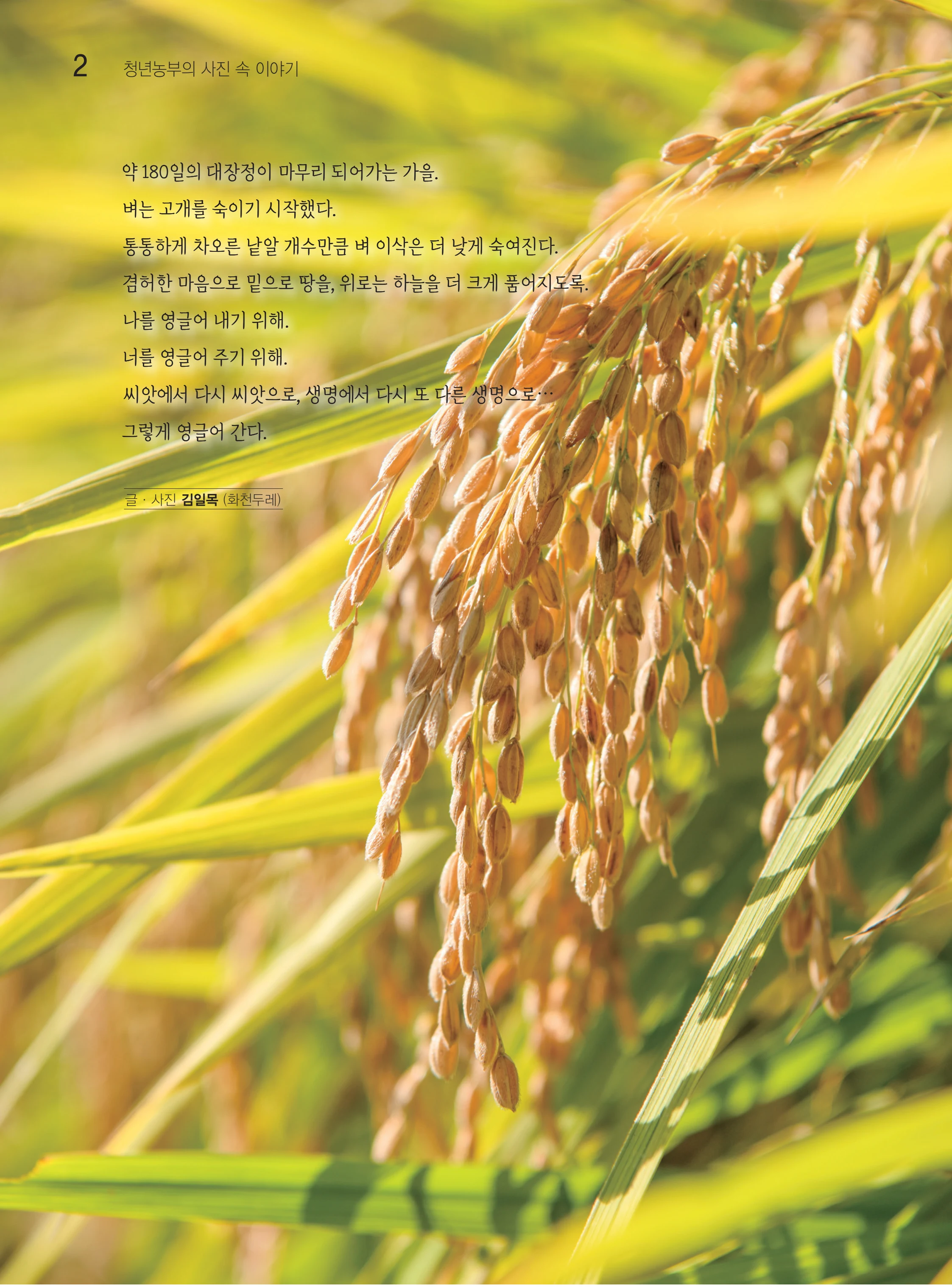두레이음51호 2페이지