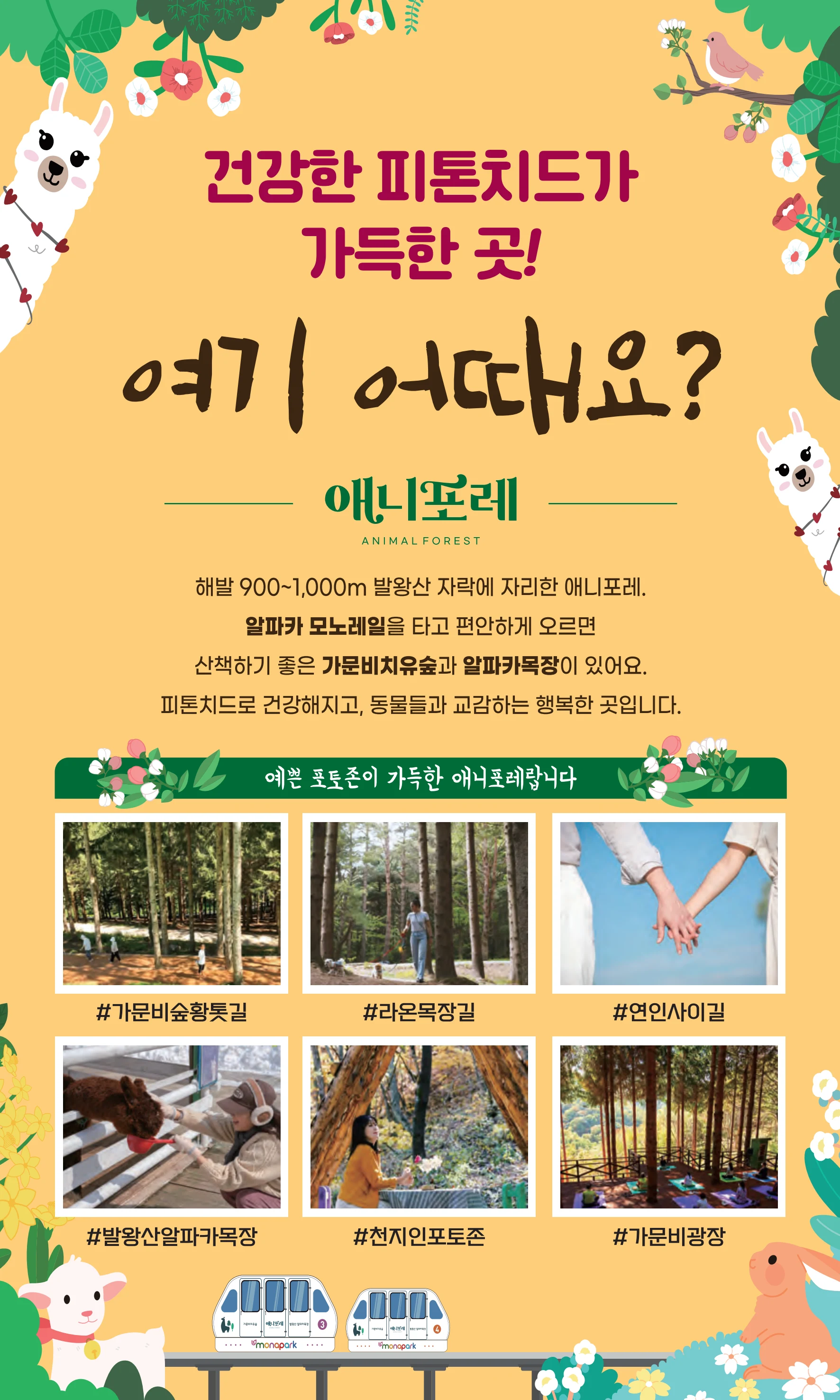 꿈씨오쟁이 64호 [2025 연차보고서] 35페이지