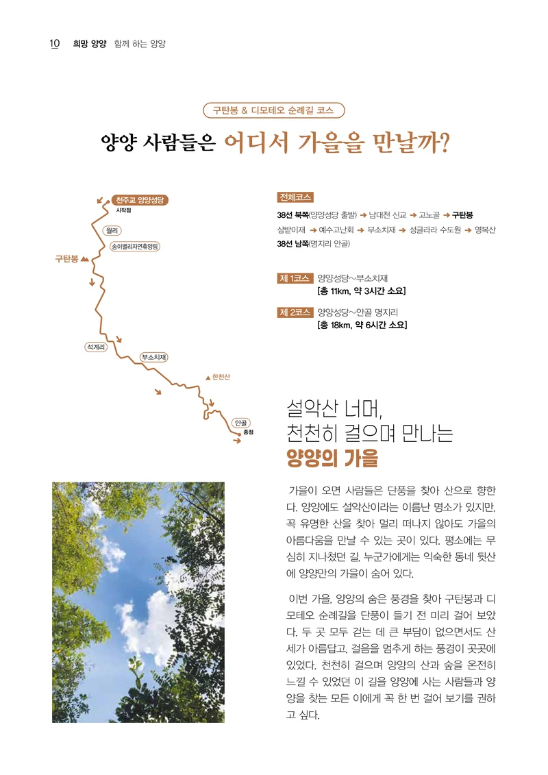 「양양소식」 2026년 10월호 10페이지
